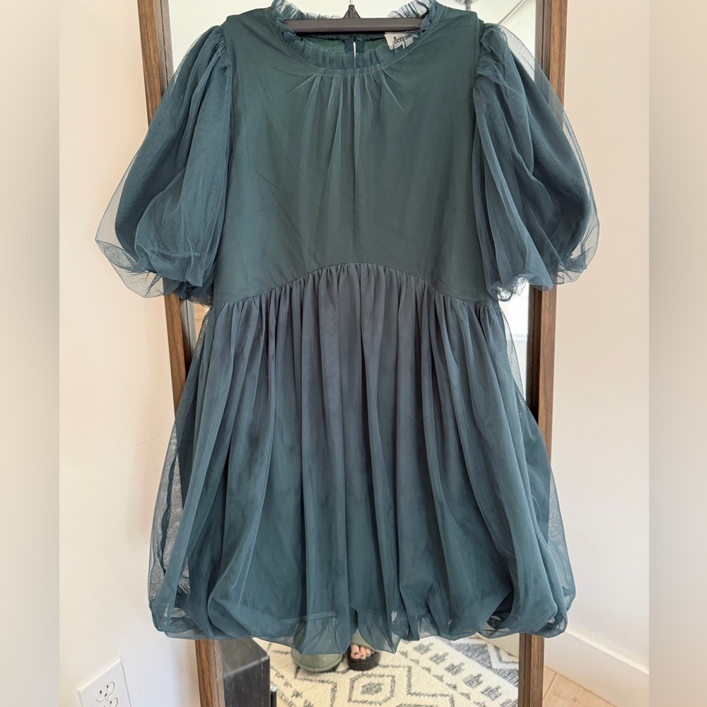 Puff Sleeve Mesh Dress
